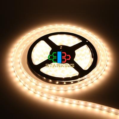 China LANDSCAPE High Brighten Led Flexible Strip Light RGB 12V 30LEDs SMD IP65 LED Strip Light for sale