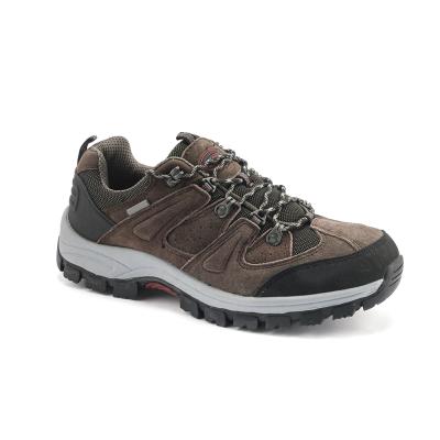 China Fashion trend low price high quality custom increasing sport man mountain trekking shoes for sale