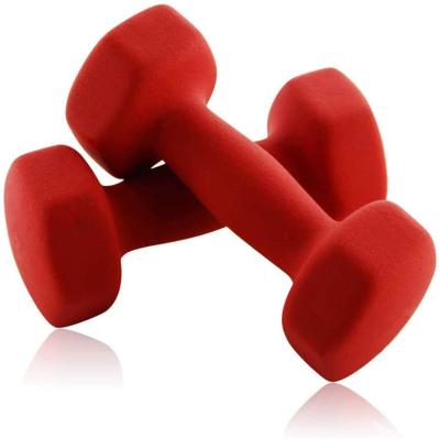 China Custom Colored Taurus Home Fitness Dumbbell Gym Use Women's Cast Iron Set Dumbbell for sale