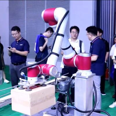 China Hotels Palletizing Robotics Jaka Zu 12 Industrial Robot Arm Mini Cobot 6 Axis for sale