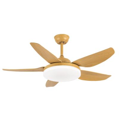 China Environmental Protection Modern Indoor Ceiling Fan Decorative Smart Remote Control Luxury ABS Led Ceiling Fans With Light for sale