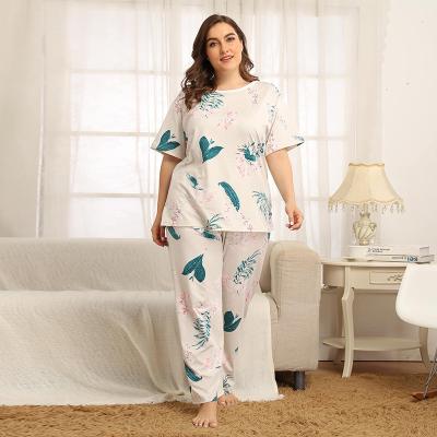 China Breathable Women Casual Polyester Cotton Knitted Plus Size Women Sleepwear for sale