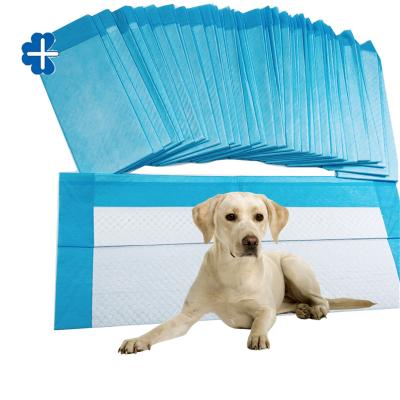 China 56*56cm Free Sample Puppy Training Pad Viable Pet Urine Pads With Scent for sale