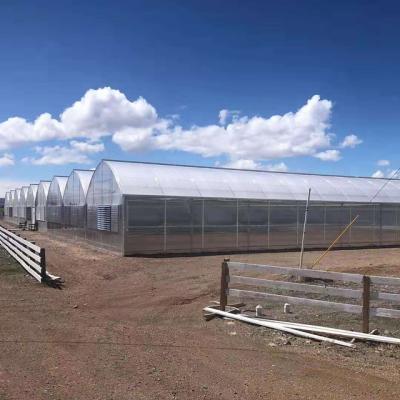 China Stable Structure Easily Assembled Sales Plastic Sheets UV Frames Materials Solar Panels Lighting Plant Led Grow Greenhouse Used For Industrial for sale