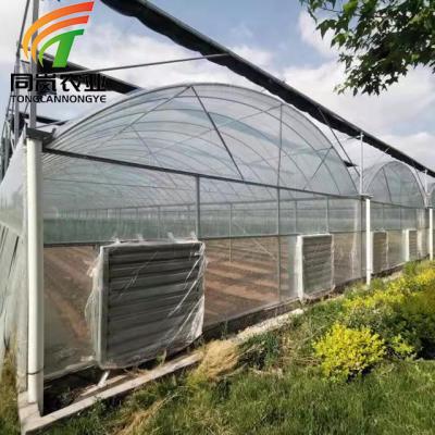 China Stable Structure Easily Assembled Low Cost Commercial Plastic Leaf Lettuce Hydroponic Greenhouse For Sale for sale