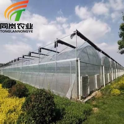 China Stable Structure Easily Assembled Large Multi-Span Blackout Greenhouse Plastic Greenhouse For Flowers Vegetables Hobby Greenhouse for sale