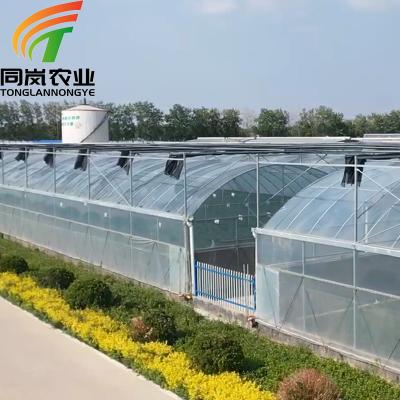 China Stable Structure Easily Assembled Hydroponics Growing System Kit With Water Pump For Greenhouse Hydroponics Plant With Low Price for sale