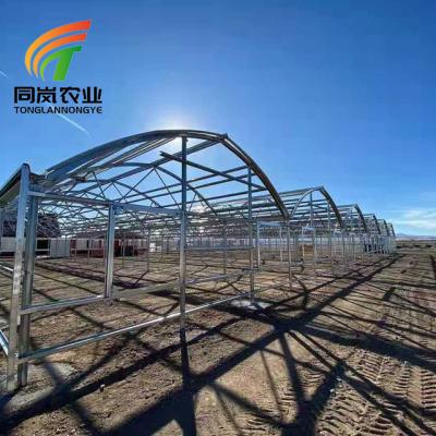 China Stable Structure Easily Assembled Tonglan China Agricultural Single-span Plastic Greenhouses Kits For Sale With Technology Equipment And Manufacturer for sale