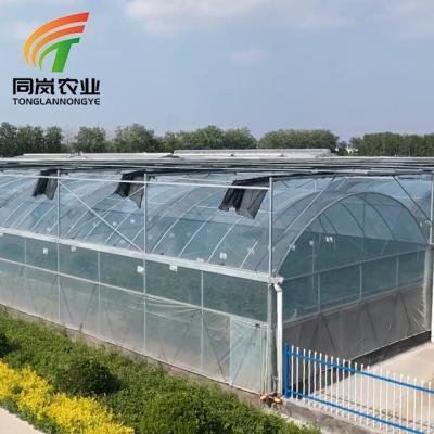 China Stable Structure Easily Collected Polyethylene Film Multifunction Modern Green House Agriculture Film Greenhouse Growing Vegetables for sale