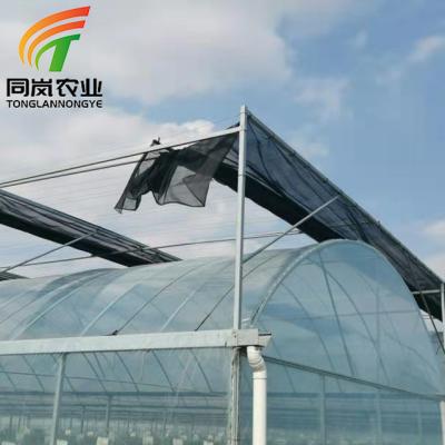 China Stable Structure Easily Assembled Easy Installed Sawtooth Plastic Sheet Duct Umbrella Multispan Tropical Greenhouse For Tomato Planting for sale