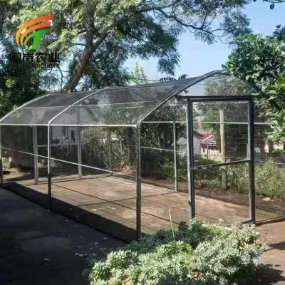 China Stable Structure Easily Assembled Greenhouse Nft Forage System Glass Agriculture Farms Factory Grow Solar Polytunnel China Greenhouse for sale