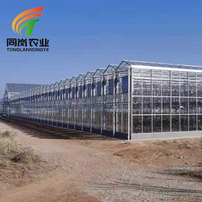 China Stable Structure Easily Assembled Multi Span Venlo Glass Greenhouse For Growing Hydroponics System Tomato Vegetable for sale