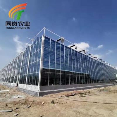 China Stable Structure Easily Assembled Complete Glass Agricultural Greenhouse Turnkey Project With Quick Build for sale