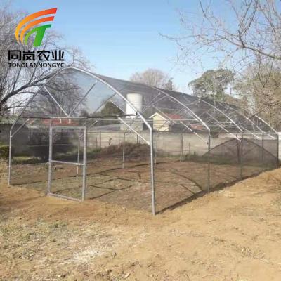 China Stable Structure Easily Assembled Low Cost Tunnel Film Greenhuse With Hydroponics Planting System Green House For Vegetable Growing for sale