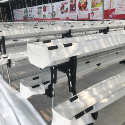 China Stable Structure Easily Assembled China Agriculture Cultivating Strawberry Greenhouse Automatic Vertical Hydroponic Strawberry Gutter System Growing Shelf for sale