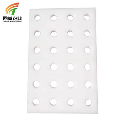 China Stable Structure Easily Assembled Floating XPS Rafts Foam Board Aquaponic Growing System DWC Hydroponic System for sale