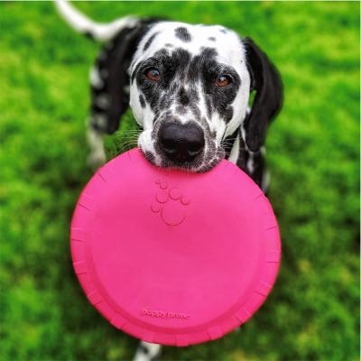 China Custom Hot Sale Competition/Entertainment Frisbeed Launcher For Dogs Interactive Frisbeed Dog Chew Frisbeed Dog Toy for sale