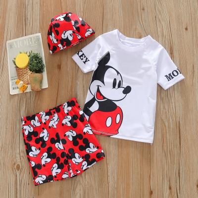 China 2021 breathable high quality swimsuit two pieces of children boy swimwear with hat swimwear for kids for sale