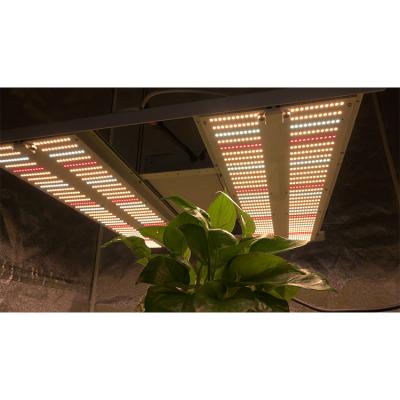 China Customization Wholesale Hydroponic Seed Starting Led Grow Light Full Spectrum 640W 480W 240W for sale