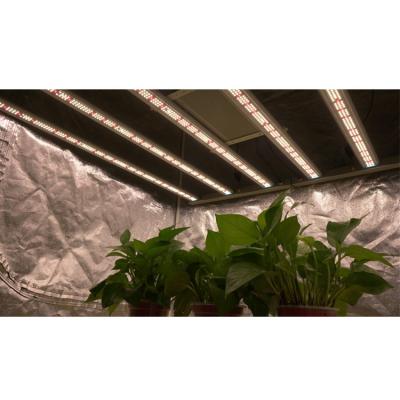 China Unique Foldable 720W 645W 1/2 Full Spectrum Hydroponic Seed Starting Growlight Led Grow Light Fixture Gavita Pro 1700E Led for sale