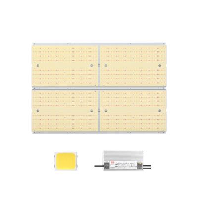 China FLOWER Greenhouse Hydroponic Farm System Growing Full Spectrum Led To Grow Light For Indoor Plants Panel for sale