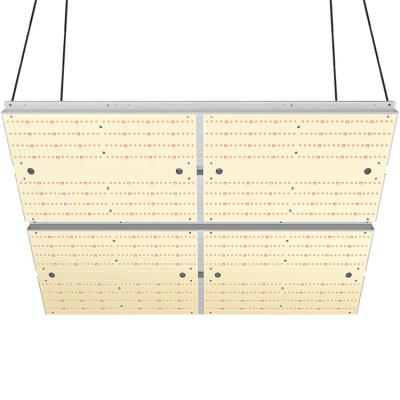 China BLOOM 2021 Custom High Power Led Grow Lights 480w Led Greenhouse Light Plant Grow for sale