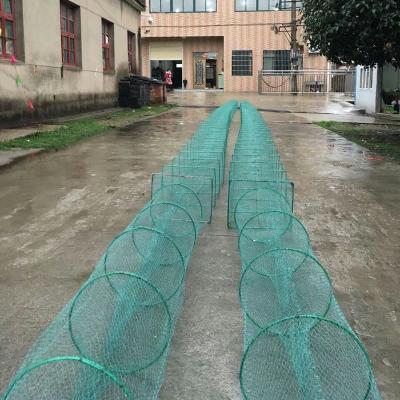 China 2019l Hot Sale Lobster Commercial Aquaculture Traps Product Fish Trap for sale