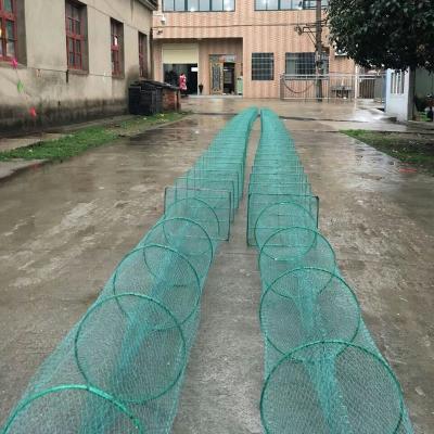 China Foldable Lobster 15m Length PE Knot Fishing Net Catch Trap With Steel Frame for sale