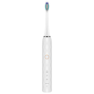 China Travle Manufacturer Wholesale Ivory White Travel Magnetic Suction Charging Automatic Electric Toothbrush for sale