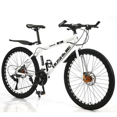 China Hot Sale Philippines Steel Double Disc Mountain Bicycle Bicicleta Lady Women 24 Inch Price Cycle Outdoor Cheap Cycling Mountain Bikes for sale