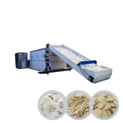 China Fruit and vegetable dehydration machine hot convection vegetable drying machine onion ginger garlic for sale