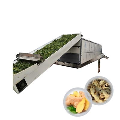 China Herbs Good Quality Low Price Commercial Ginger Onion Cassava Drying Machine for sale