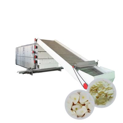 China Processing Line Customized Automatic Line Avocado Drying Low Price High Capacity Fruit Processing Machine for sale