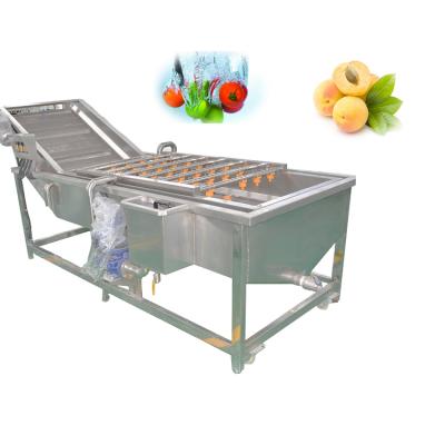 China The best vegetable and fruit sales service and Thailand's good test and fruit washing machine for sale