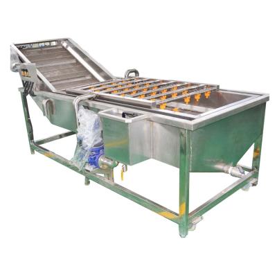 China Vegetable and fruit direct supplier selling best price apple kiwi lemon washing machine for sale