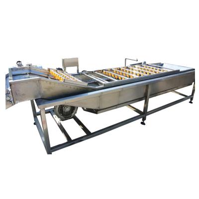 China Apple cost reduce hot sale pear apple date washing machine for sale