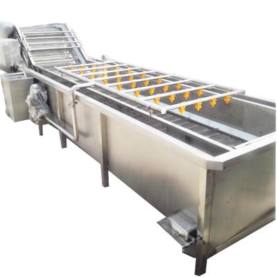 China High Efficiency Fruit And Vegetable Cleaning Processing Line Bubble Washing Machine for sale