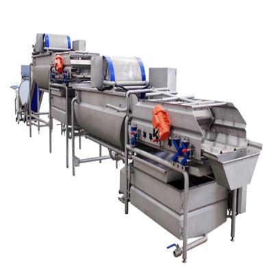 China Fully Automatic Vegetable And Fruit Fruits And Vegetables Processing Production Line for sale