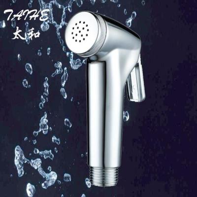 China Toilet ABS Silver Shattaf Bidet Spray Nozzle Sprinkler For Ladies Shower for sale