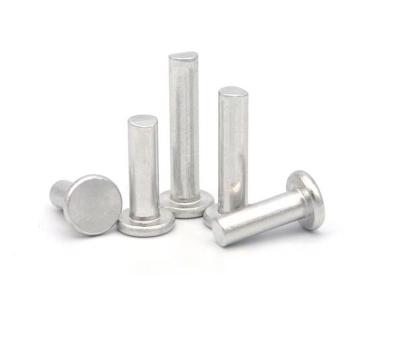 China Industry Wholesale Bulk Fasteners Aluminum Tinners Flat Head Rivet Rivets Metal Solid Rivet Screw for sale