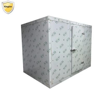 China Hotels 150MM Thickness Frozen Cold Room For Meat , Fish , Seafood And Ice Cream for sale