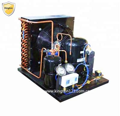 China Hotels 5/8HP Tecumseh Compressor Condensing Unit For Seafood CAJ9480 for sale