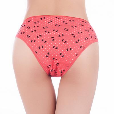 China Wholesale Female Briefs Breathable Cotton Women's Sexy Panties Ladies Underwear Antibacterial for sale