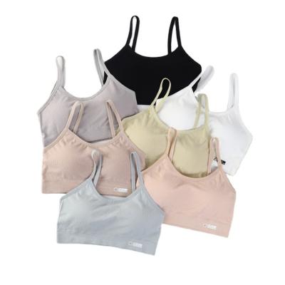 China Solid Color Simple Seamless QUICK DRY Soft Cotton Tube Top Women Shockproof Padded Wireless Bra for sale