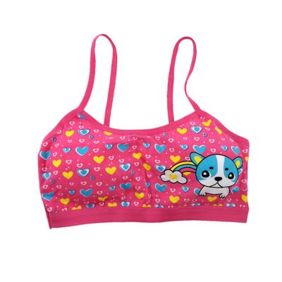 China Cheap Price Little Girl QUICK DRY Underwear No Ring Steel Cotton Girl Puberty Vest Teen Bra for sale