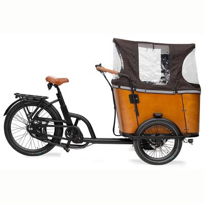 China 48V 250W Three Wheel Electric Cargo Tricycle Lithium Battery Electric Bike for sale