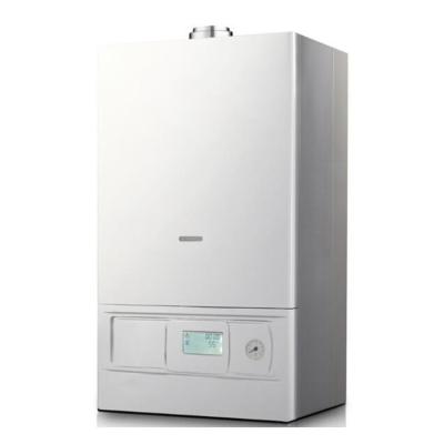 China High Quality RV Gas Boiler 28Kw For Central Home Wall Hung Gas Water Heater Water Heater for sale