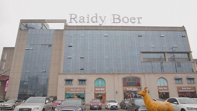 Verified China supplier - Raidy Boer Fashion Garment Co., Ltd.