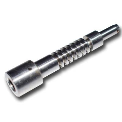 China Garment Shops OEM Custom Stainless Steel Worm Shaft for sale