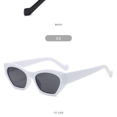 China Fashionable High Quantity Fashion Customized Unisex PC Famous Brands Polarized Sunglasses for sale